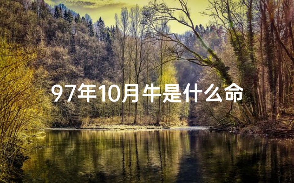 97年10月牛是什么命-97年10月命格:揭秘你的独特命运密码
