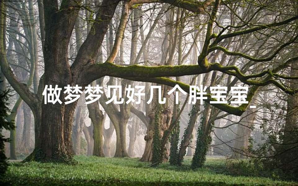做梦梦见好几个胖宝宝_梦见几个大胖小子