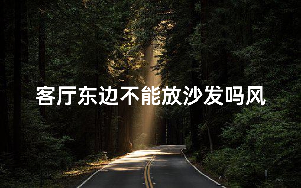 客厅东边不能放沙发吗风水;客厅东边不能放沙发吗风水好吗