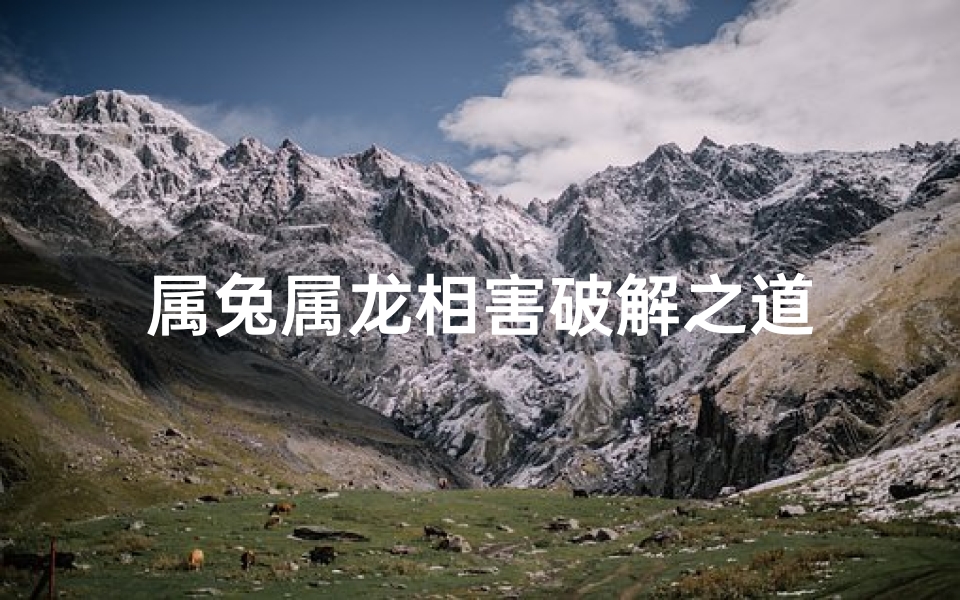 属兔属龙相害破解之道