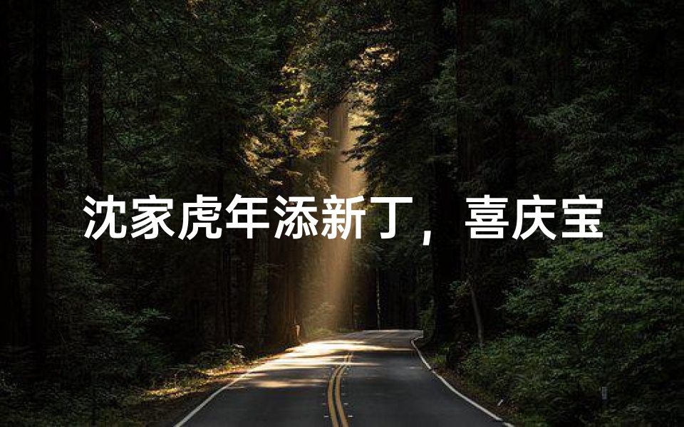 沈家虎年添新丁,喜庆宝宝取名记