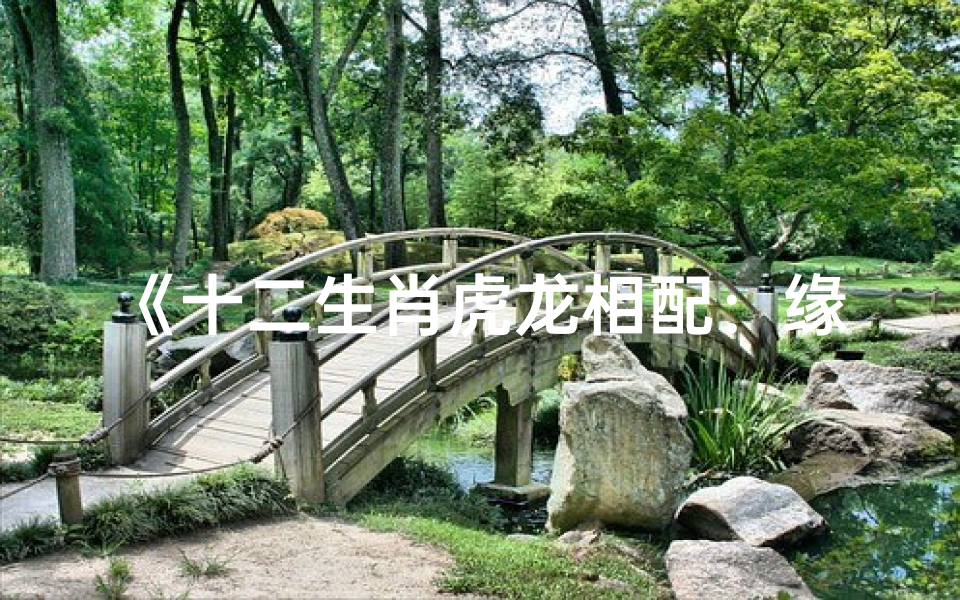 《十二生肖虎龙相配:缘定三生,命中注定》