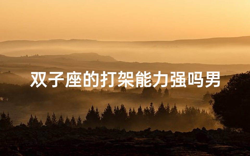 双子座的打架能力强吗男生