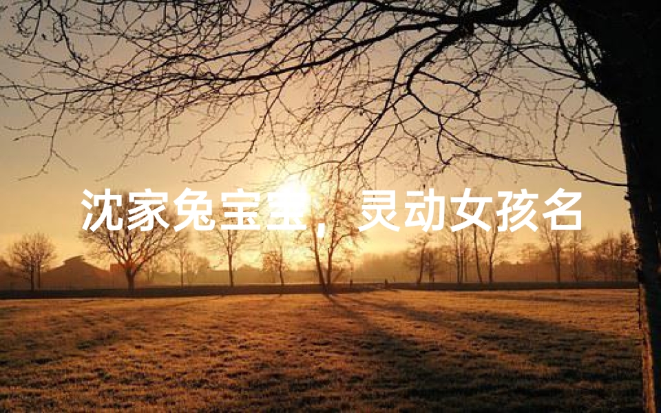 沈家兔宝宝,灵动女孩名绽放光彩