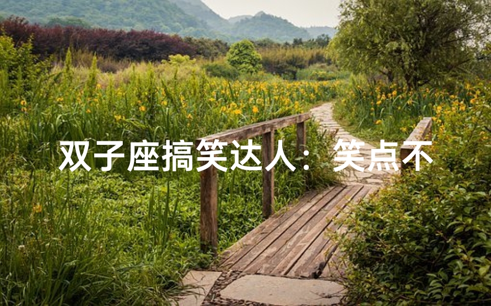 双子座搞笑达人:笑点不断,欢乐无限