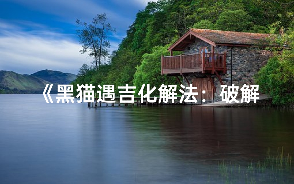 《黑猫遇吉化解法:破解霉运的神秘秘籍》