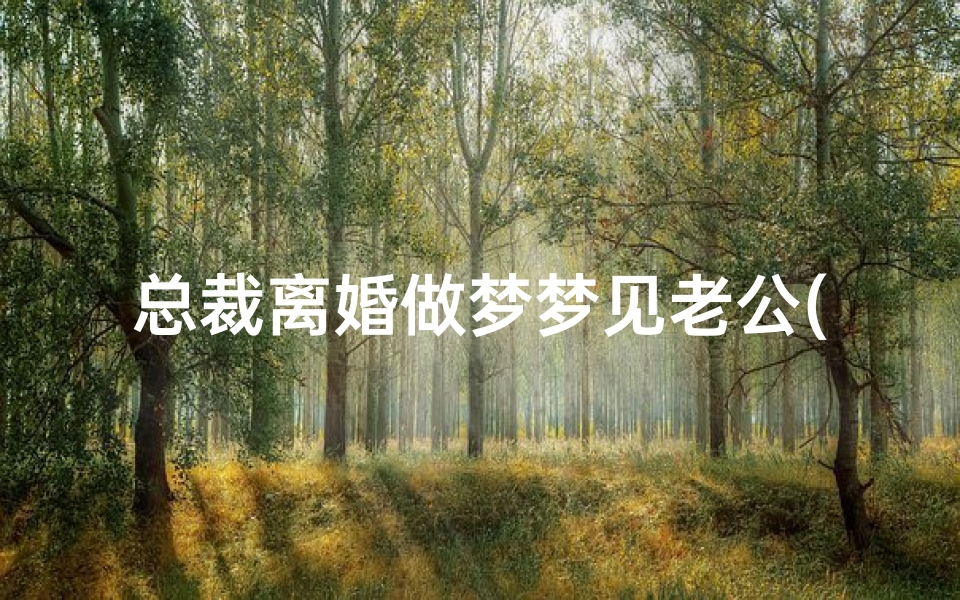 总裁离婚做梦梦见老公(离婚期间梦到老公)