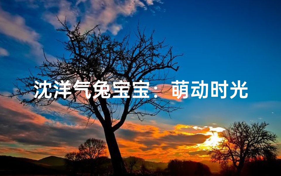沈洋气兔宝宝:萌动时光的可爱小王子