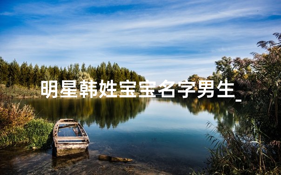 明星韩姓宝宝名字男生_姓韩的男孩起什么名字好明星