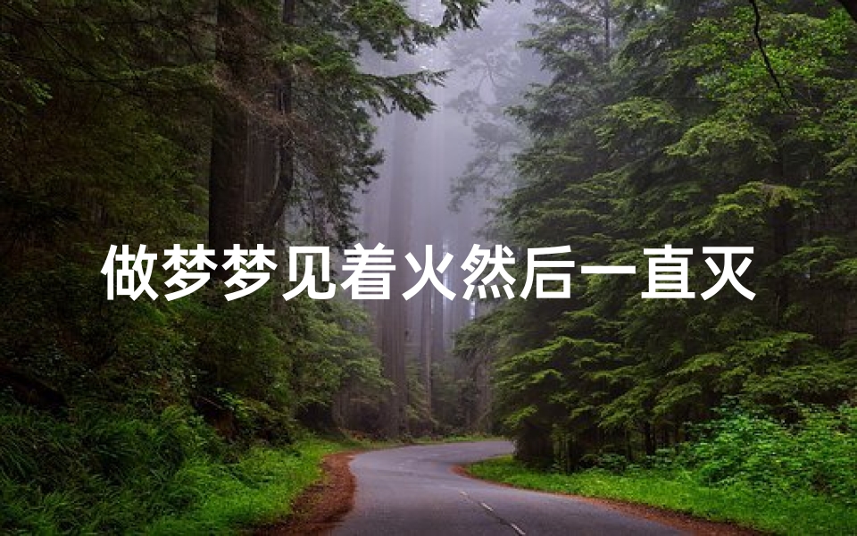 做梦梦见着火然后一直灭火