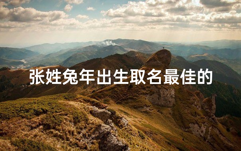 张姓兔年出生取名最佳的字_《兔宝宝张姓小名女孩,温馨命名大揭秘》