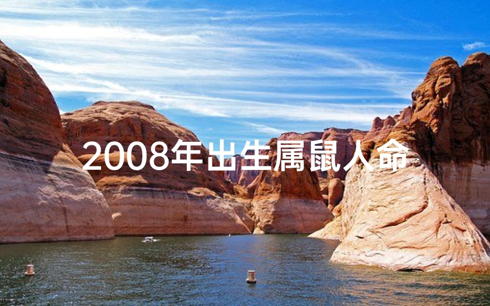 2008年出生属鼠人命格解析:揭秘生肖鼠的运势密码