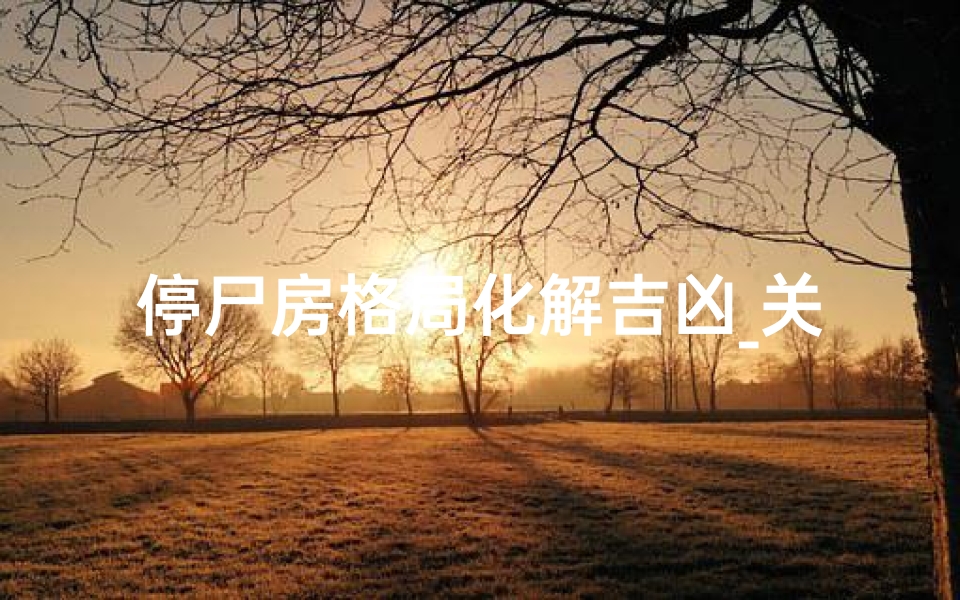停尸房格局化解吉凶_关键词:停尸房格局、化解吉凶《停尸房布局揭秘:巧化解家居吉凶之谜》-优贝算卦网