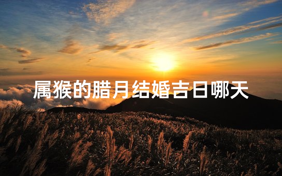 属猴的腊月结婚吉日哪天好-属猴腊月结婚吉日:良辰美景好时光