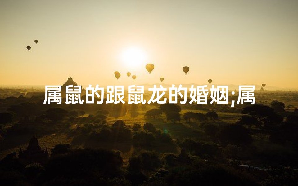 属鼠的跟鼠龙的婚姻;属鼠属龙姻缘:缘起龙腾鼠跃-优贝算卦网