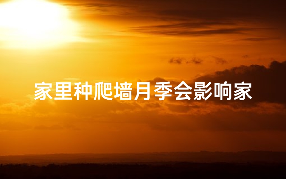家里种爬墙月季会影响家里风水吗_爬墙月季风水影响揭秘:家居绿植的禁忌与选择
