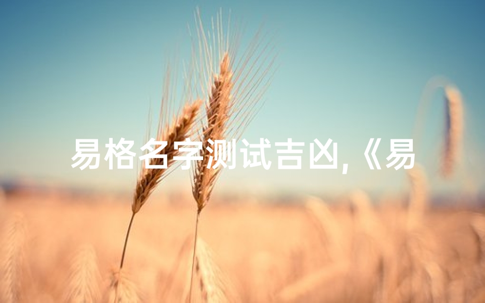 易格名字测试吉凶,《易格名字测试:揭秘吉凶奥秘,助你选名明智》