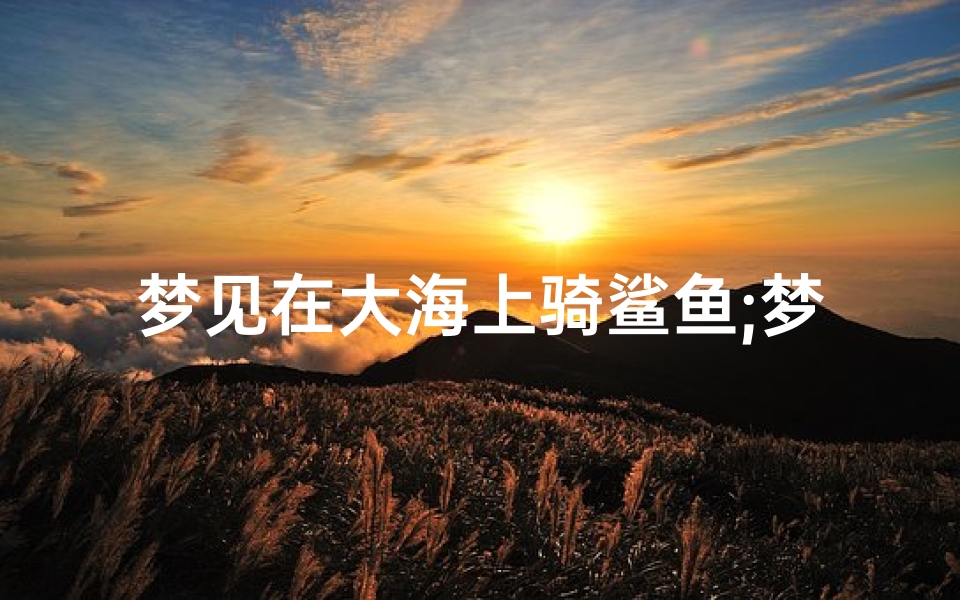 梦见在大海上骑鲨鱼;梦见骑鲨鱼是什么意思-优贝算卦网
