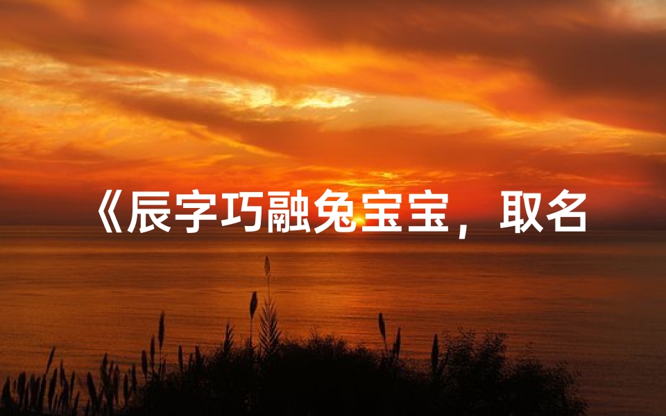 《辰字巧融兔宝宝,取名之道如何巧妙运用》