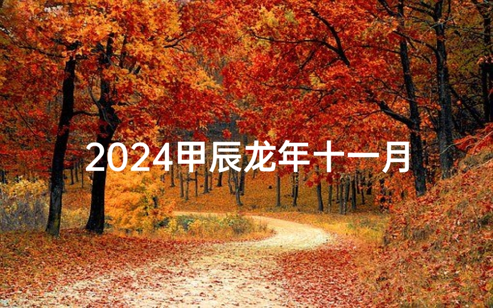 2024甲辰龙年十一月黄道吉日—2024甲辰年大利什么方位