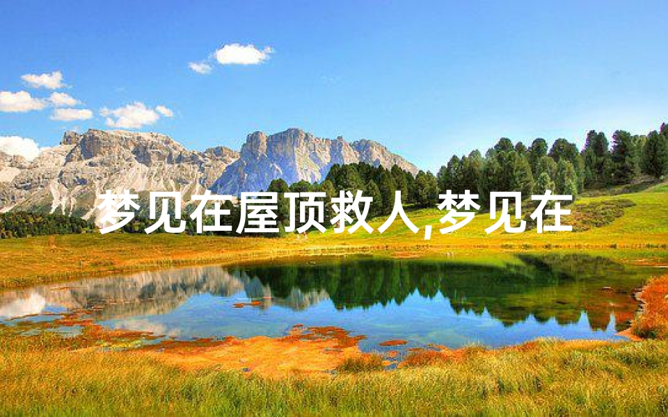 梦见在屋顶救人,梦见在房顶上下不来有人救我下去