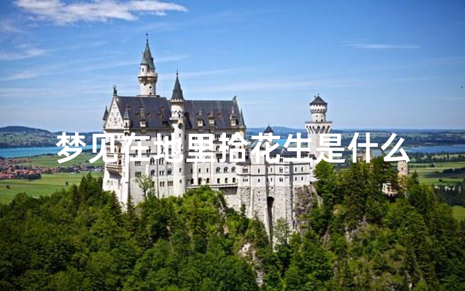梦见在地里拾花生是什么意思啊—梦见在地里拾花生_梦见在地里拾花生相关