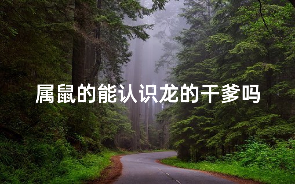属鼠的能认识龙的干爹吗(属鼠少年奇遇记:龙族干爹的神秘传承)