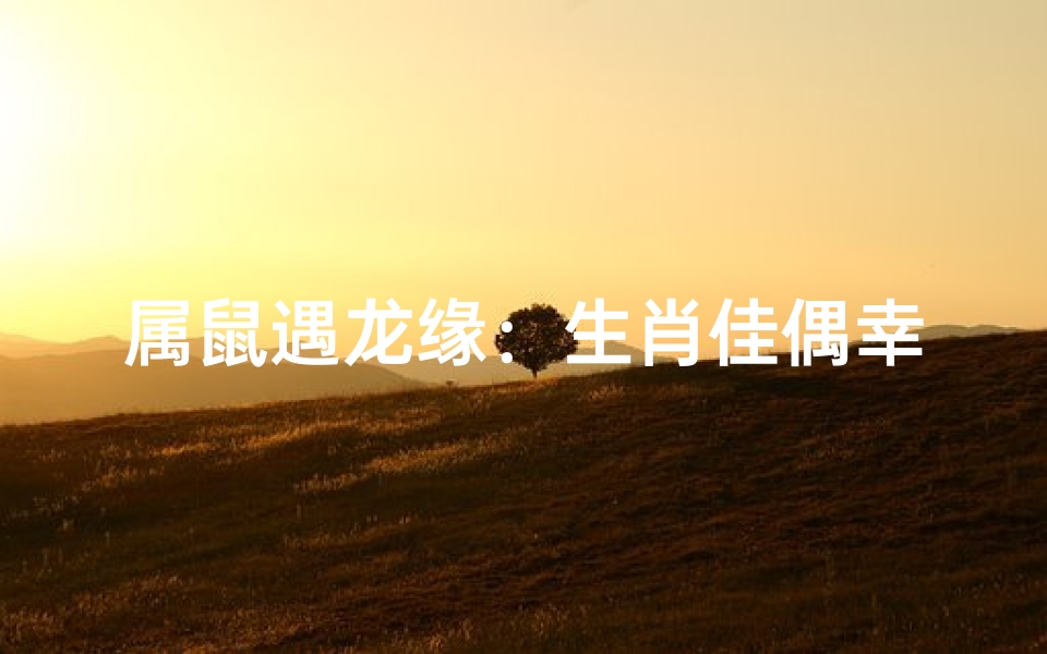 属鼠遇龙缘:生肖佳偶幸福路