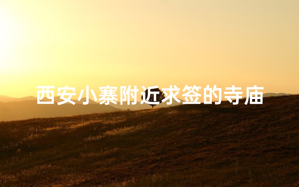 西安小寨附近求签的寺庙