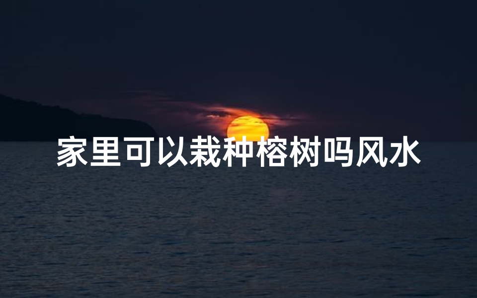 家里可以栽种榕树吗风水