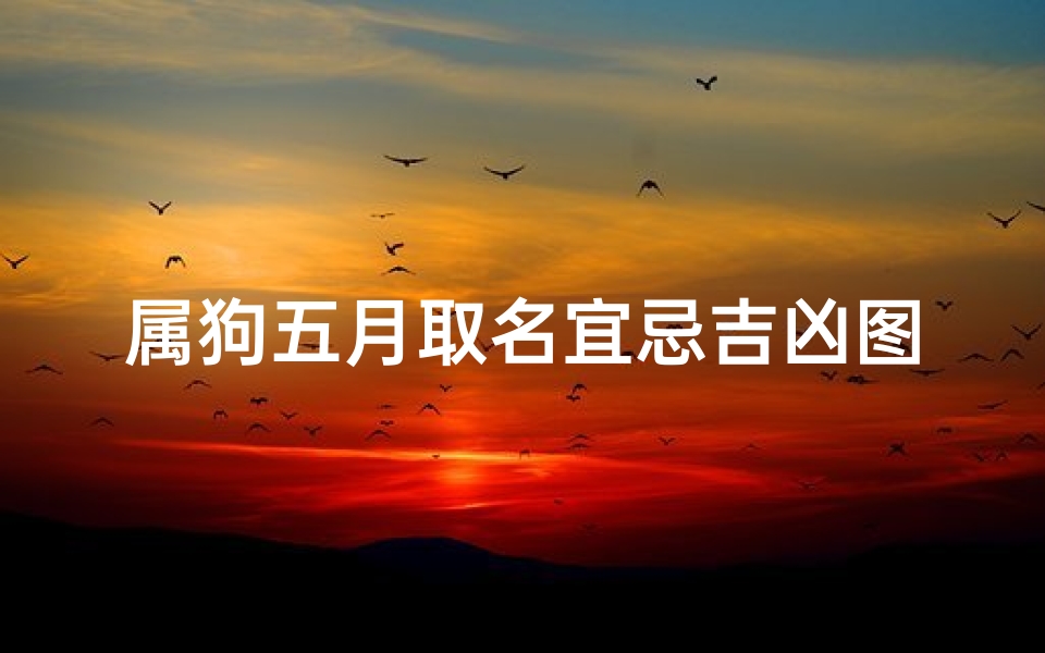 属狗五月取名宜忌吉凶图、属狗五月取名宜忌吉凶解析:吉祥好运好名字