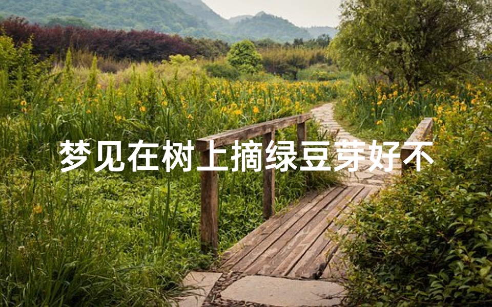 梦见在树上摘绿豆芽好不好—梦见摘绿豆子是什么意思