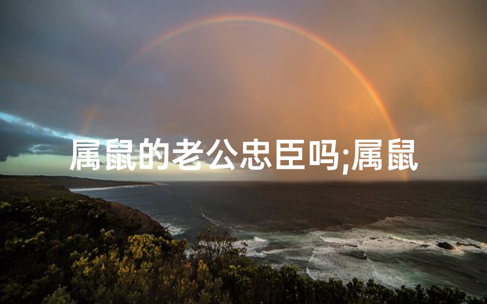 属鼠的老公忠臣吗;属鼠的老公对老婆