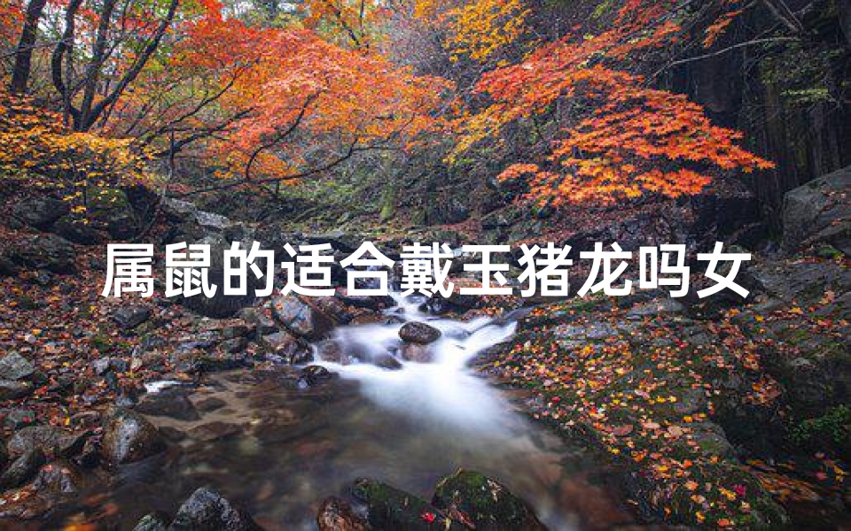 属鼠的适合戴玉猪龙吗女生(属鼠女性专属:玉猪龙饰品,吉祥如意戴身上)