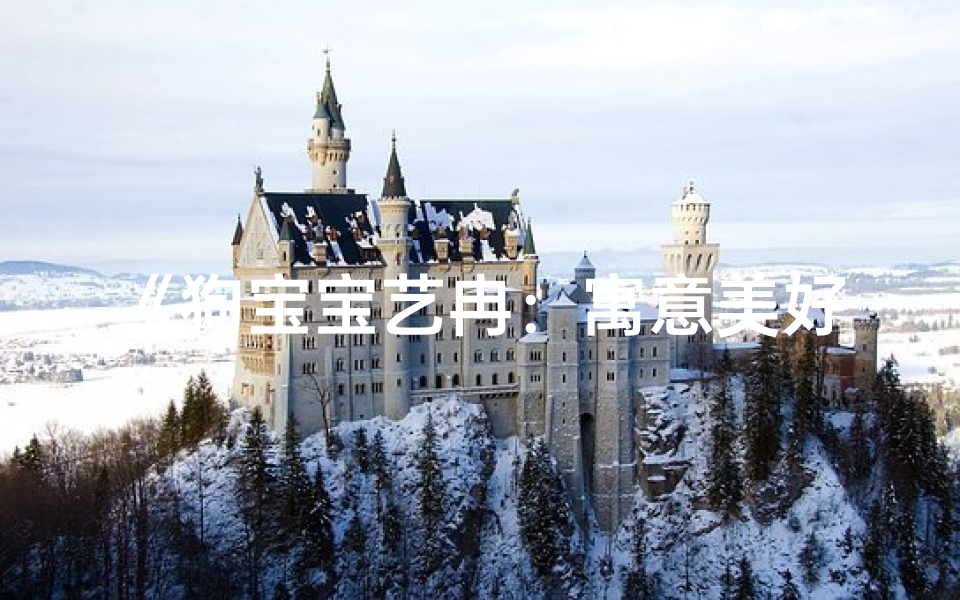 《狗宝宝艺冉:寓意美好,名字好听》