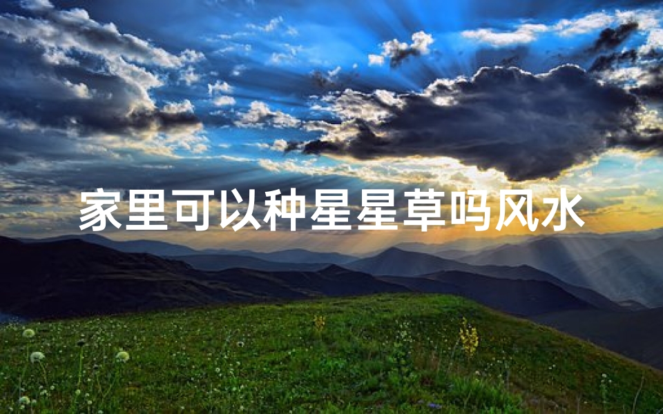 家里可以种星星草吗风水、《家里种星星草,风水旺家好运来》