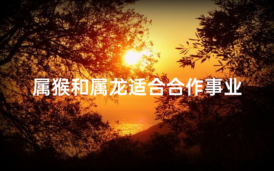 属猴和属龙适合合作事业吗