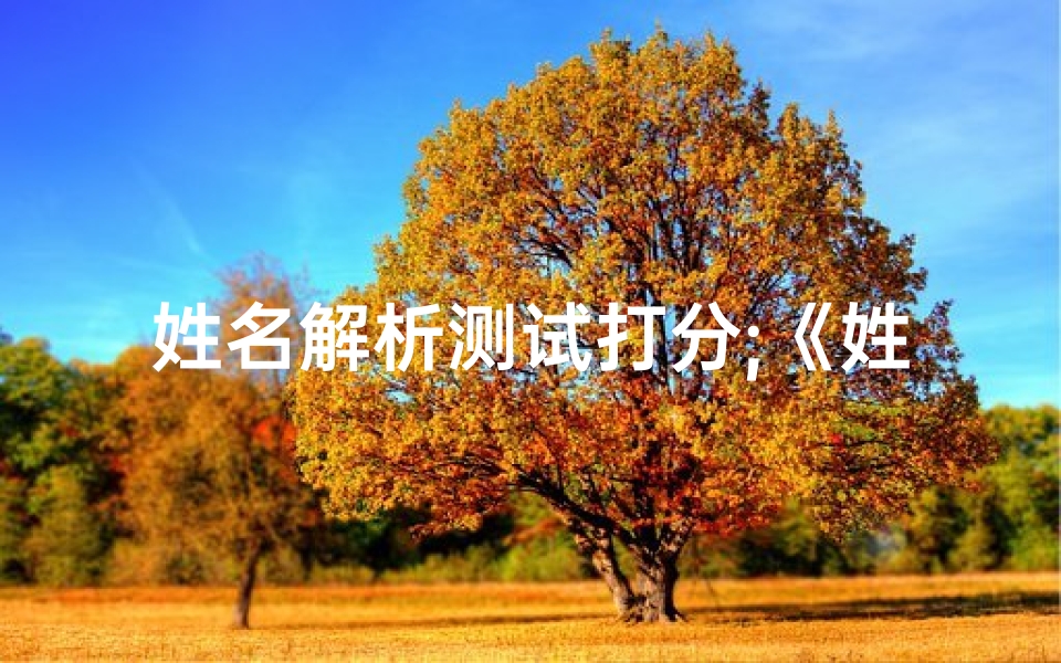 姓名解析测试打分;《姓名吉凶一测便知,揭秘命运奥秘》