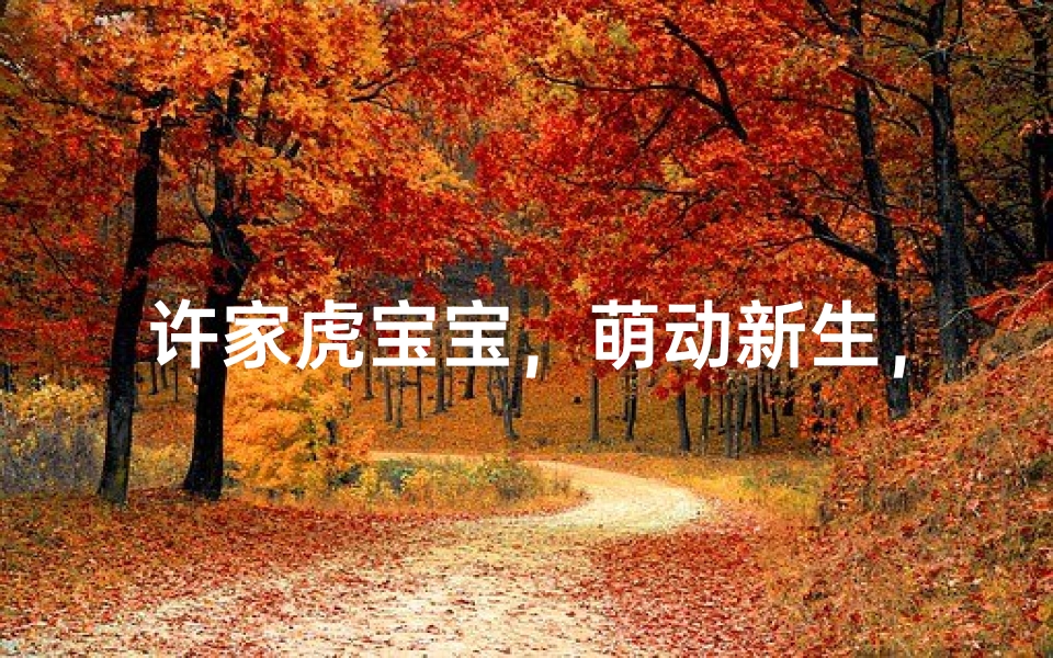 许家虎宝宝,萌动新生,喜提美好名