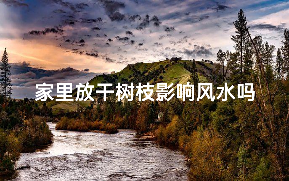 家里放干树枝影响风水吗(家里摆放干树会影响风水吗?揭秘家居风水禁忌)