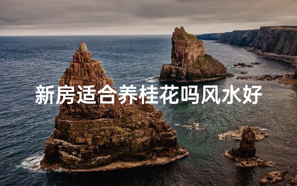 新房适合养桂花吗风水好吗;新房养桂花风水佳?揭秘家居风水新选择