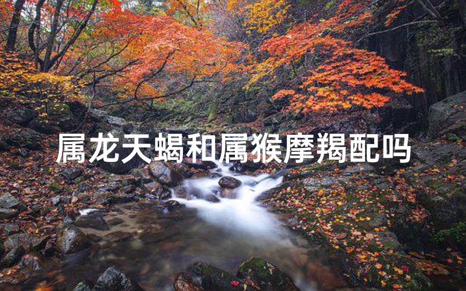 属龙天蝎和属猴摩羯配吗,属龙天蝎与属猴摩羯:缘定三生情意浓