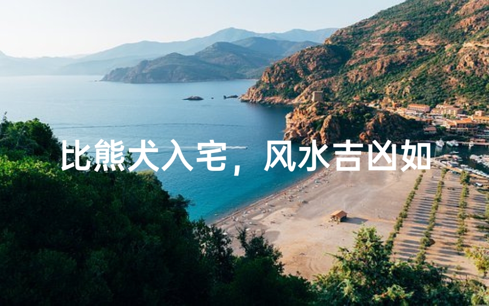 比熊犬入宅,风水吉凶如何?