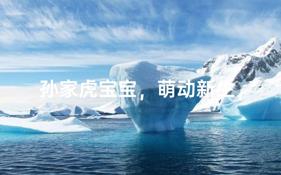 孙家虎宝宝,萌动新生,喜提佳名