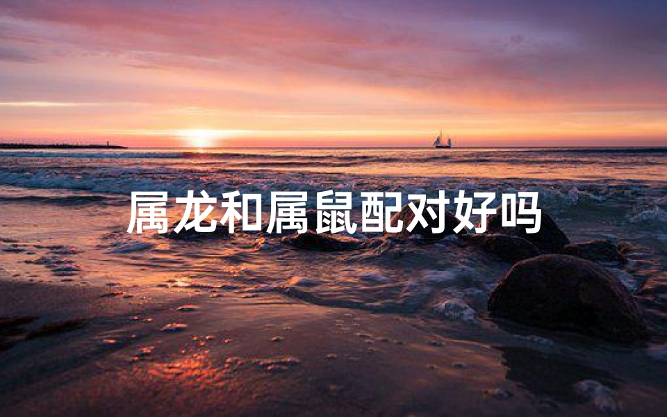 属龙和属鼠配对好吗
