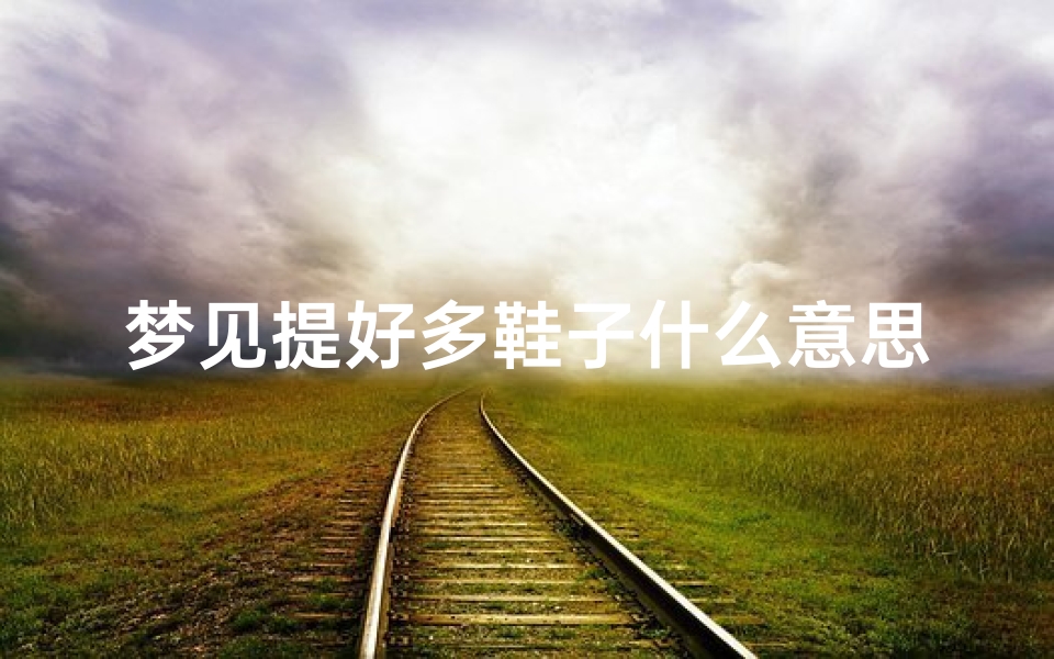 梦见提好多鞋子什么意思—梦见提鞋子是什么意思