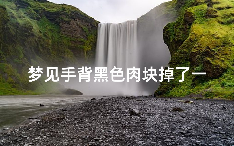 梦见手背黑色肉块掉了一块、梦见手背黑色肉块掉了一块什么意思