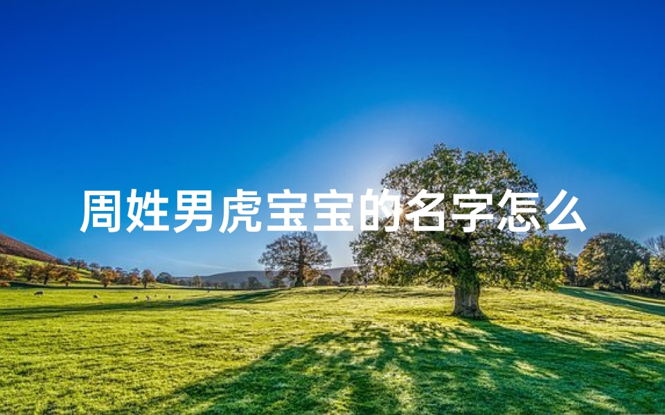 周姓男虎宝宝的名字怎么取
