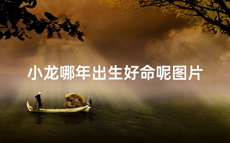 小龙哪年出生好命呢图片(小龙出生年份好命之谜揭晓)-优贝算卦网