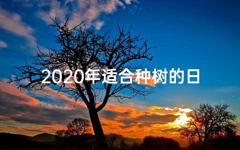 2020年适合种树的日子-2018黄道吉日种树,福荫子孙好运来-优贝算卦网